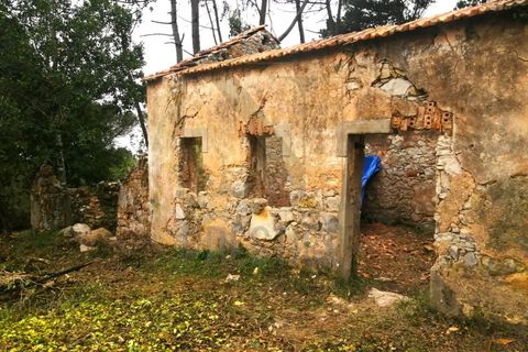 Helårsgrund i Buarcos, Coimbra, Buarcos - € 150.000 | Ref: NP3294 - foto 4
