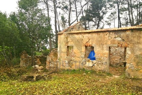 Helårsgrund i Buarcos, Coimbra, Buarcos - € 150.000 | Ref: NP3294 - foto 6