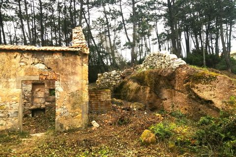 Helårsgrund i Buarcos, Coimbra, Buarcos - € 150.000 | Ref: NP3294 - foto 7
