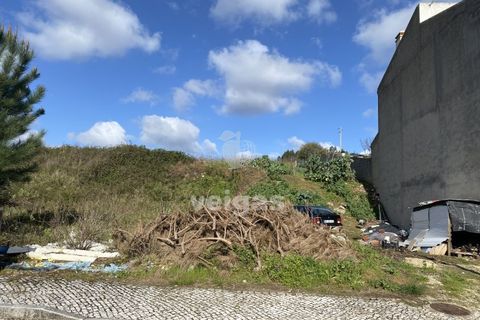 Helårsgrund i Alcobaca, Leiria, Alcobaca - € 32.500 | Ref: CAL-215665 - foto 3