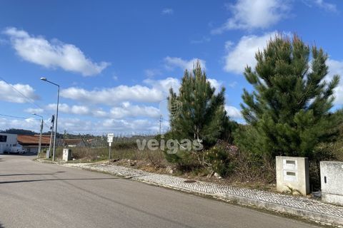 Helårsgrund i Alcobaca, Leiria, Alcobaca - € 32.500 | Ref: CAL-215665 - foto 5