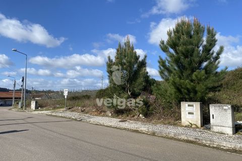 Helårsgrund i Alcobaca, Leiria, Alcobaca - € 32.500 | Ref: CAL-215665 - foto 6