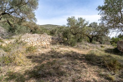 Finca i Ulldecona, Tarragona, Ulldecona - € 29.000 | Ref: 46 - foto 7