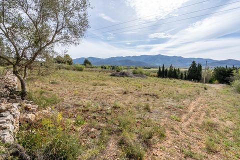 Finca i Ulldecona, Tarragona, Ulldecona - € 29.000 | Ref: 46 - foto 25