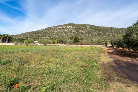 Finca i Ulldecona, Tarragona, Ulldecona - € 29.000 | Ref: 46 - foto 22
