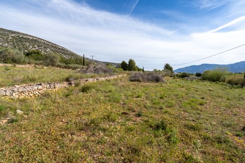 Finca i Ulldecona, Tarragona, Ulldecona - € 29.000 | Ref: 46 - foto 2