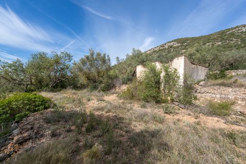 Finca i Ulldecona, Tarragona, Ulldecona - € 29.000 | Ref: 46 - foto 6