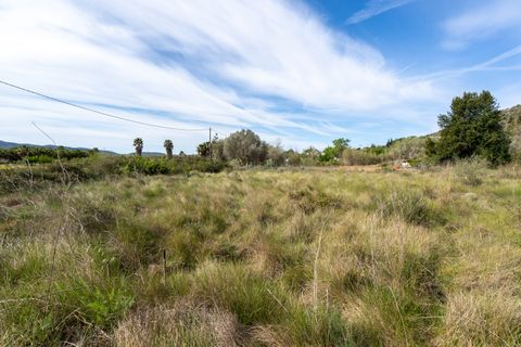 Finca i Ulldecona, Tarragona, Ulldecona - € 29.000 | Ref: 46 - foto 17