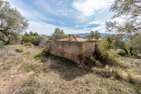 Finca i Ulldecona, Tarragona, Ulldecona - € 29.000 | Ref: 46 - foto 11