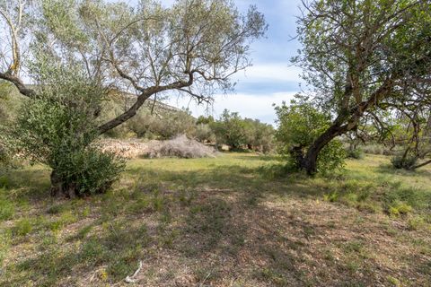 Finca i Ulldecona, Tarragona, Ulldecona - € 29.000 | Ref: 46 - foto 24