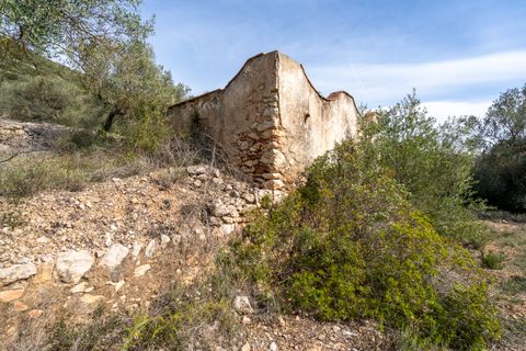 Finca i Ulldecona, Tarragona, Ulldecona - € 29.000 | Ref: 46 - foto 4