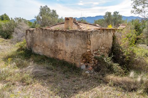 Finca i Ulldecona, Tarragona, Ulldecona - € 29.000 | Ref: 46 - foto 12