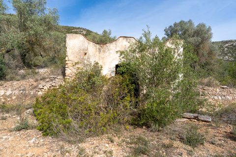 Finca i Ulldecona, Tarragona, Ulldecona - € 29.000 | Ref: 46 - foto 3