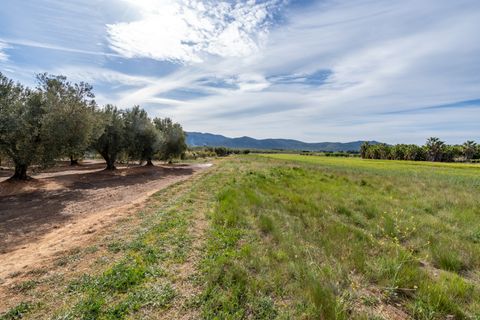 Finca i Ulldecona, Tarragona, Ulldecona - € 29.000 | Ref: 46 - foto 21
