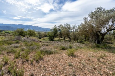Finca i Ulldecona, Tarragona, Ulldecona - € 29.000 | Ref: 46 - foto 15