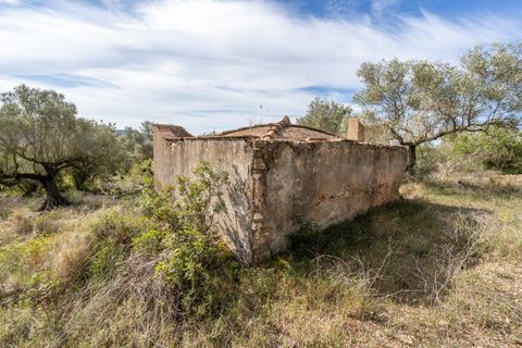 Finca i Ulldecona, Tarragona, Ulldecona - € 29.000 | Ref: 46 - foto 14