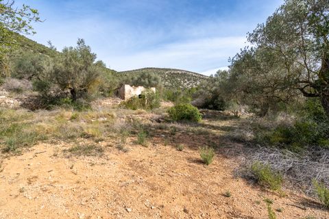Finca i Ulldecona, Tarragona, Ulldecona - € 29.000 | Ref: 46 - foto 9