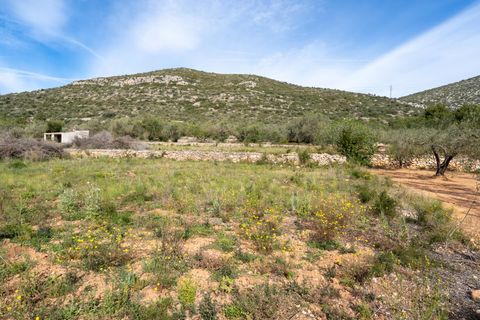 Finca i Ulldecona, Tarragona, Ulldecona - € 29.000 | Ref: 46 - foto 19