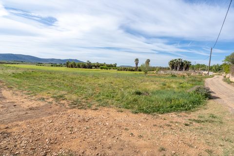 Finca i Ulldecona, Tarragona, Ulldecona - € 29.000 | Ref: 46 - foto 20