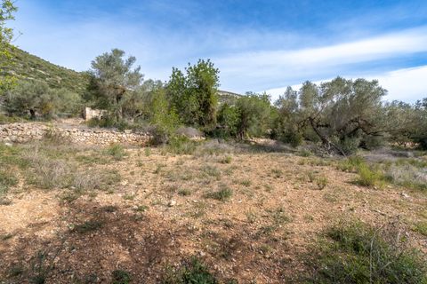 Finca i Ulldecona, Tarragona, Ulldecona - € 29.000 | Ref: 46 - foto 8
