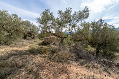Finca i Ulldecona, Tarragona, Ulldecona - € 29.000 | Ref: 46 - foto 10
