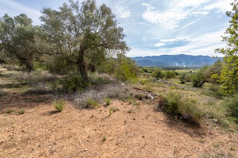 Finca i Ulldecona, Tarragona, Ulldecona - € 29.000 | Ref: 46 - foto 18