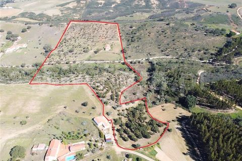 Villa i Odemira, Beja, Odemira - € 450.000 | Ref: 022240044 - foto 9