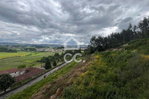 Helårsgrund i Paredes, Porto, Paredes - € 47.500 | Ref: 365/T/02791 - foto 3