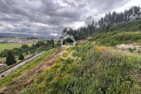 Helårsgrund i Paredes, Porto, Paredes - € 47.500 | Ref: 365/T/02791 - foto 6