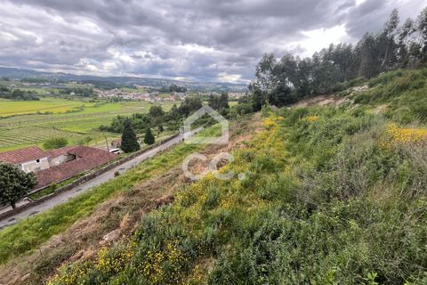 Helårsgrund i Paredes, Porto, Paredes - € 47.500 | Ref: 365/T/02791 - foto 7