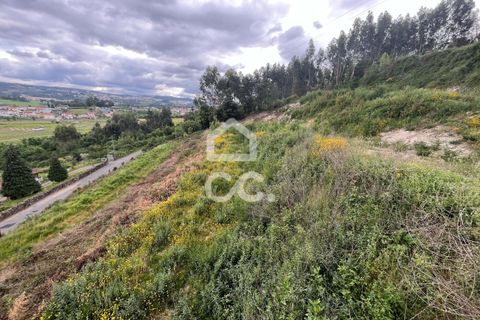 Helårsgrund i Paredes, Porto, Paredes - € 47.500 | Ref: 365/T/02791 - foto 8