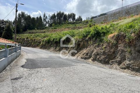 Helårsgrund i Paredes, Porto, Paredes - € 47.500 | Ref: 365/T/02791 - foto 13