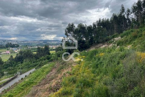 Helårsgrund i Paredes, Porto, Paredes - € 42.000 | Ref: 365/T/02792 - foto 3