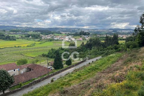 Helårsgrund i Paredes, Porto, Paredes - € 42.000 | Ref: 365/T/02792 - foto 4
