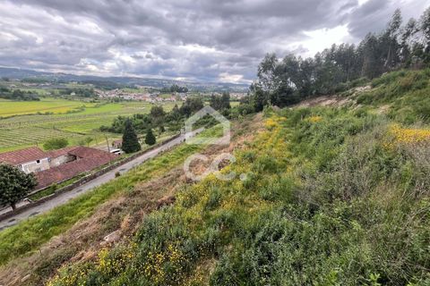 Helårsgrund i Paredes, Porto, Paredes - € 42.000 | Ref: 365/T/02792 - foto 8
