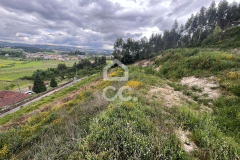 Helårsgrund i Paredes, Porto, Paredes - € 42.000 | Ref: 365/T/02792 - foto 12