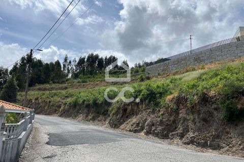Helårsgrund i Paredes, Porto, Paredes - € 42.000 | Ref: 365/T/02792 - foto 17