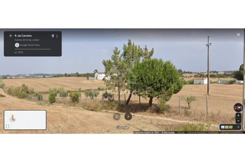 Tomt i Aveiras de Cima, Lisbon, Aveiras de Cima - € 520 800 | Ref: OSO24029.FF - foto 2