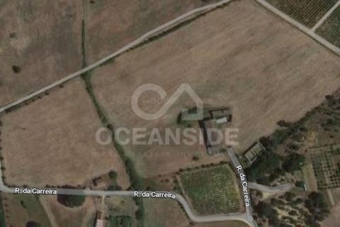 Tomt i Aveiras de Cima, Lisbon, Aveiras de Cima - € 520 800 | Ref: OSO24029.FF - foto 5