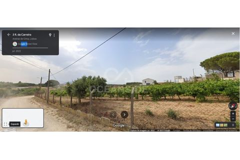 Tomt i Aveiras de Cima, Lisbon, Aveiras de Cima - € 520 800 | Ref: OSO24029.FF - foto 7