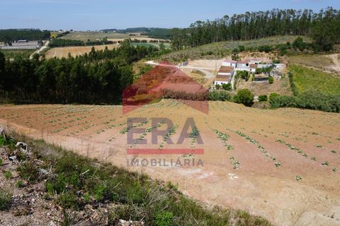 Tomt i Torres Vedras, Lisbon, Torres Vedras - € 65 000 | Ref: 130230095 - foto 4