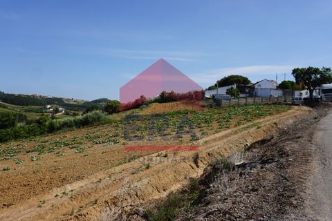 Tomt i Torres Vedras, Lisbon, Torres Vedras - € 65 000 | Ref: 130230095 - foto 6