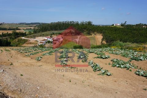 Tomt i Torres Vedras, Lisbon, Torres Vedras - € 65 000 | Ref: 130230095 - foto 7