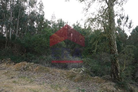 Helårsgrund i Bombarral, Leiria, Bombarral - € 18.000 | Ref: 130220065 - foto 4