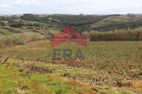 Helårsgrund i Ribamar, Lisbon, Ribamar - € 119.000 | Ref: 130230228 - foto 4