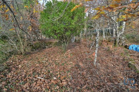 Rækkehus i Penela, Coimbra, Penela - € 35.000 | Ref: 85414 - foto 12