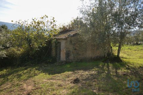 Byhus i Miranda do Corvo, Coimbra, Miranda do Corvo - € 75.000 | Ref: 84098 - foto 4