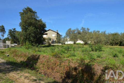 Byhus i Miranda do Corvo, Coimbra, Miranda do Corvo - € 75.000 | Ref: 84098 - foto 9