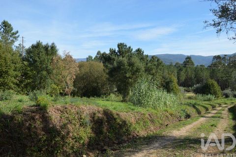 Byhus i Miranda do Corvo, Coimbra, Miranda do Corvo - € 75.000 | Ref: 84098 - foto 10