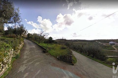 Terra a Soure, Coimbra, Soure - € 30.000 | Ref: 85338 - foto 2